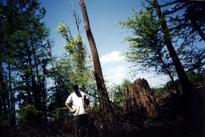 Cypress stump. (Me, with face hidden in shadow, standing next to tall tree and cypress stump.)