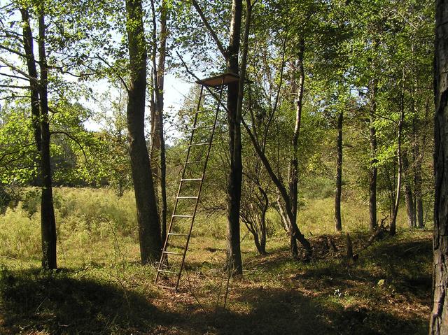 Hunting view platform, 50 meters west of the confluence.