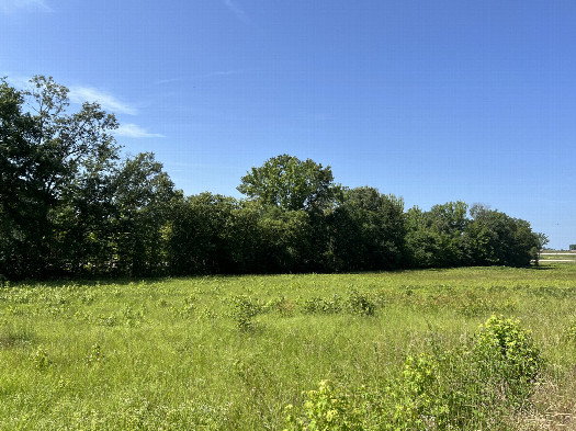 #1: Overview of the confluence site looking south from N Willie Ray Dr