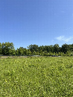 #2: View looking north toward N Willie Ray Dr from the confluence