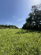 #3: View looking east from the confluence