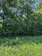 #4: View looking south from the confluence toward I-57