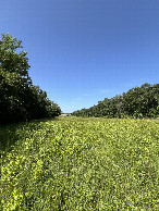 #5: View looking west from the confluence