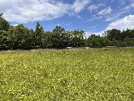 #2: A view to the north from the confluence.