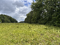 #3: A view to the east from the confluence.