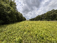 #5: A view to the west from the confluence.
