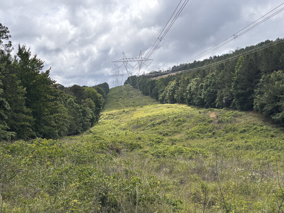 The confluence lies in the foreground of this picture looking toward the south east 