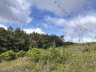 #5: A view to the west from the confluence.  