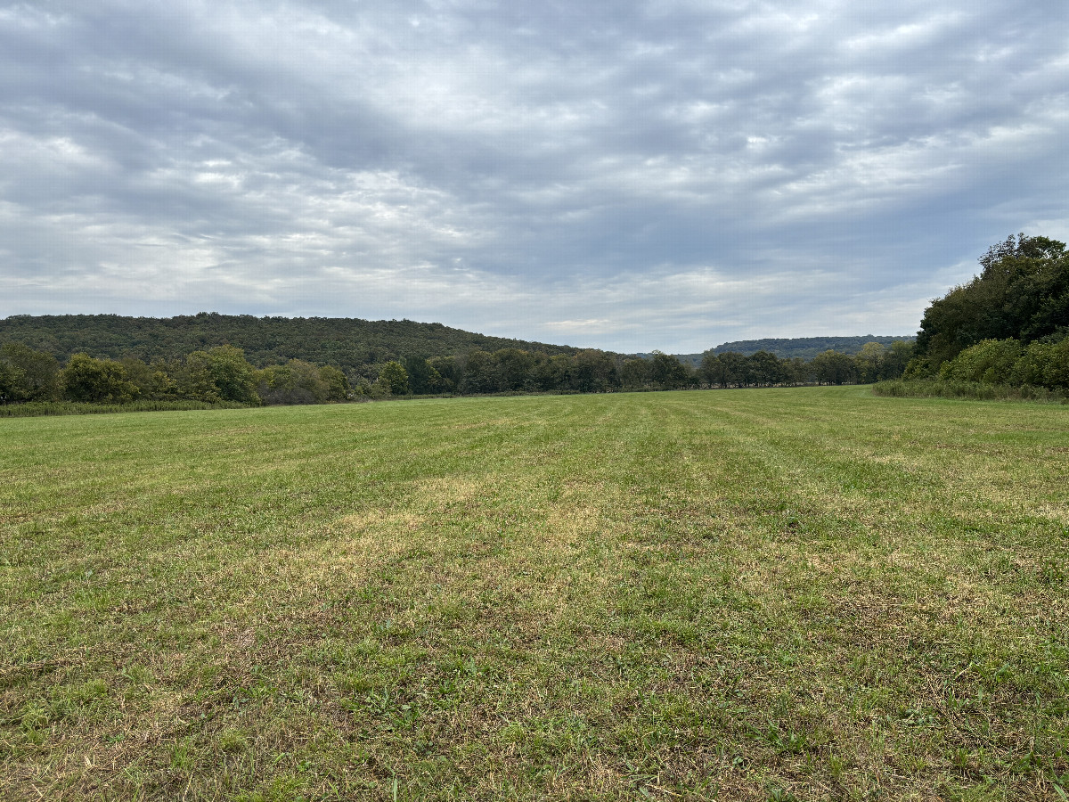 View to the east from the confluence point. 