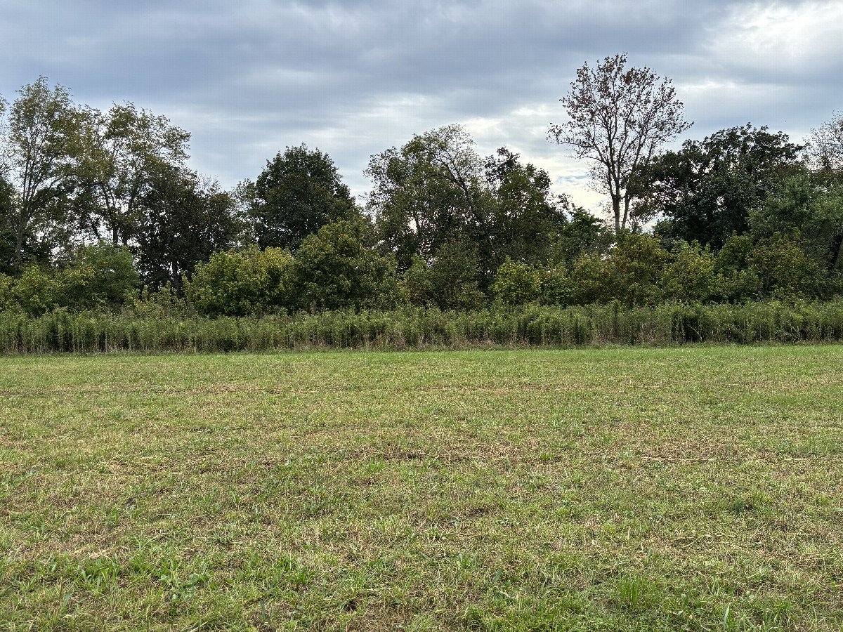 View to the south from the confluence point. 