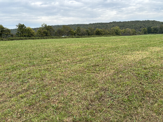 #1: The confluence lies in the foreground of this photo looking northeast.  