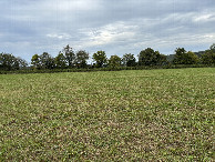 #2: View from the confluence point looking north. 