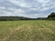 #3: View to the east from the confluence point. 