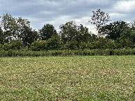 #4: View to the south from the confluence point. 