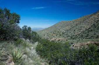 #1: View North (along the hillside, towards I-10 (not visible here))