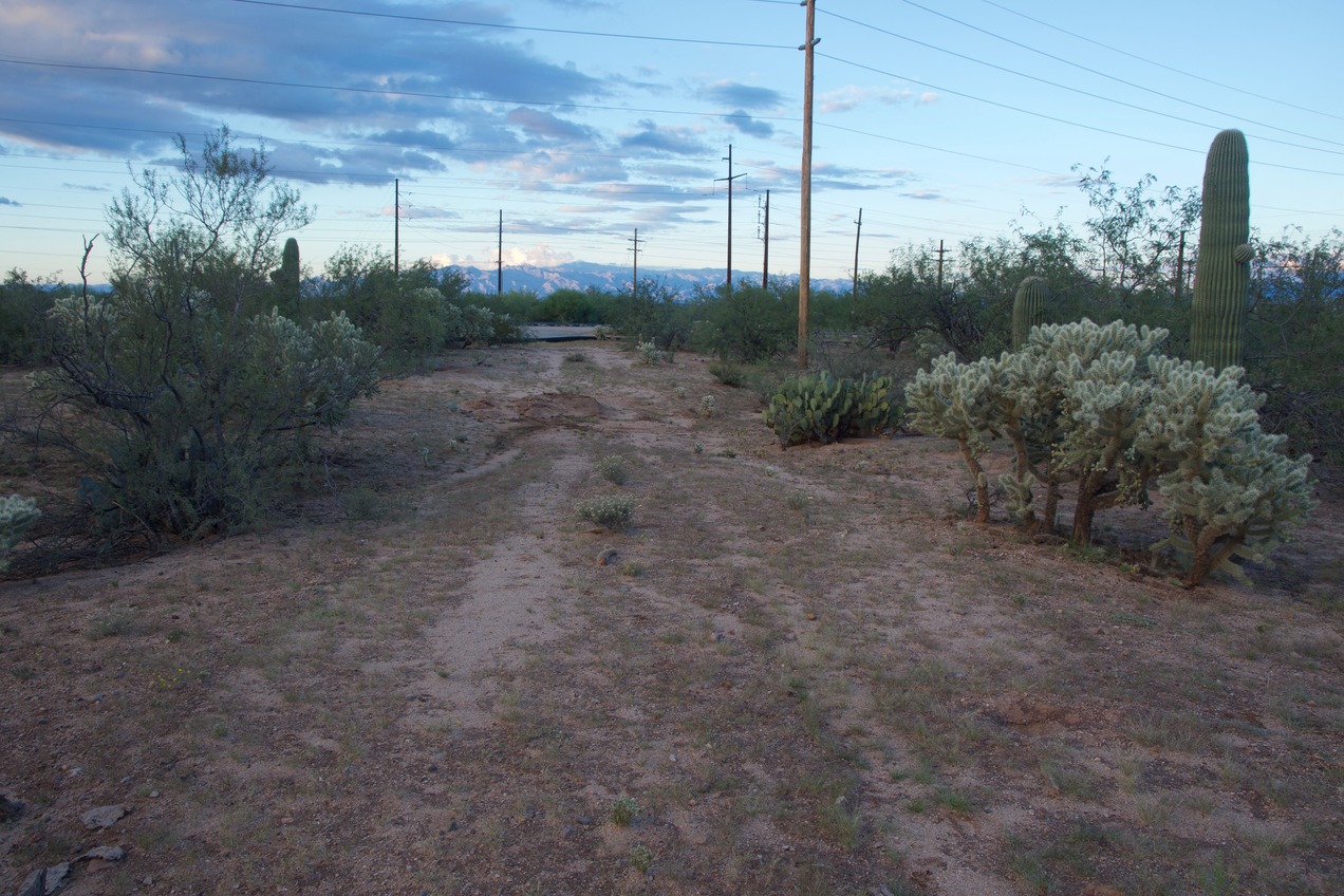 The confluence point lies on this old road cut, with cactus on each side. (This is also a view to the North, towards W. Pima Mine Road, 0.1 miles away.)