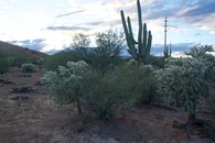 #4: View West (towards this point’s signature Saguaro cactus)