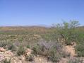 #7: Pinal Peak way off in the distance