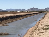 #9: View of the larger ditch to the south of the confluence, looking west.