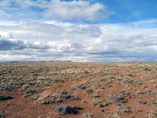 #1: View north with Meteor Crater in the background