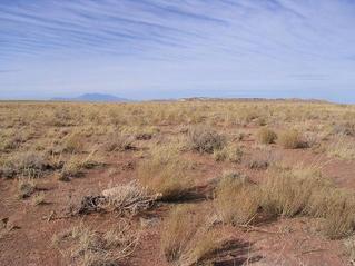 #1: The West view (actually a bit northwest of west).  Humphreys Peak in the back, the meteor crater rim closer to us.