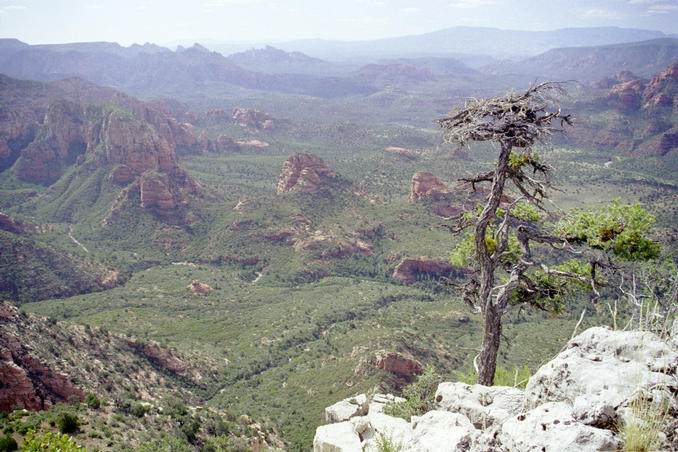 View south along Sycamore Canyon