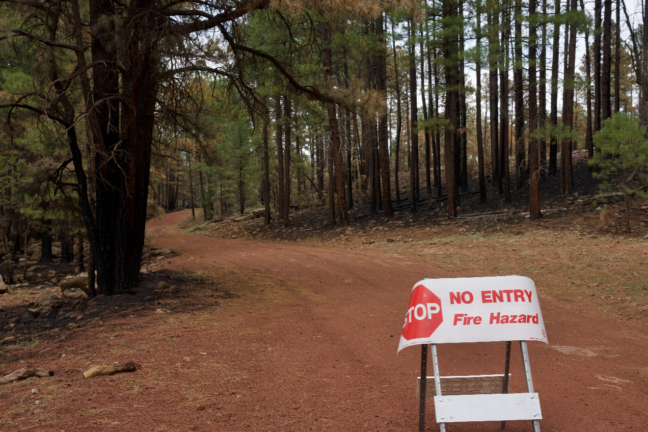 This road leading towards the confluence point was closed due to a recent forest fire