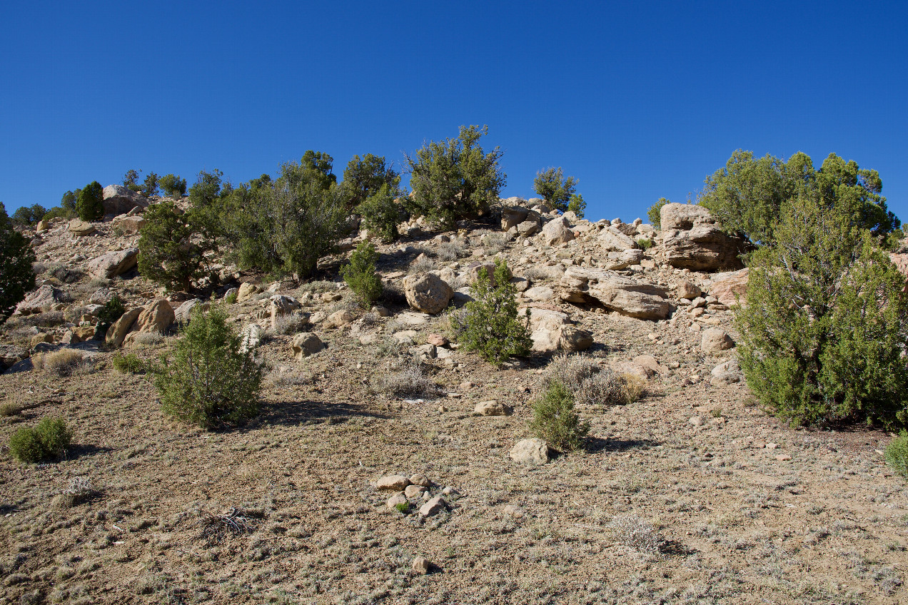The confluence point lies in a hollow among small, rock-strewn hills.  (This is also a view to the North.)