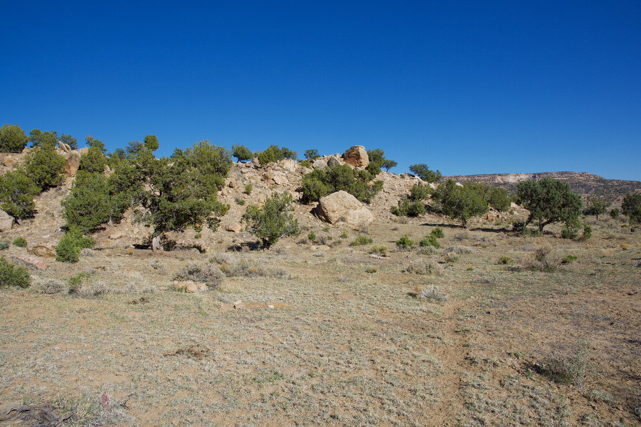 View East