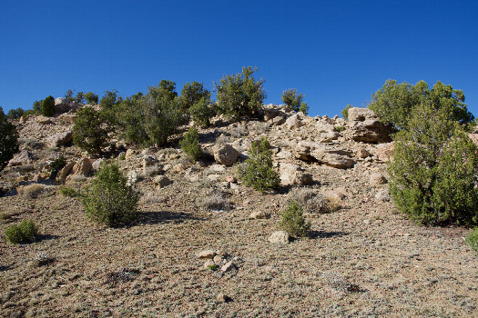 #1: The confluence point lies in a hollow among small, rock-strewn hills.  (This is also a view to the North.)