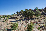 #3: View South