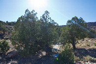 #4: View West