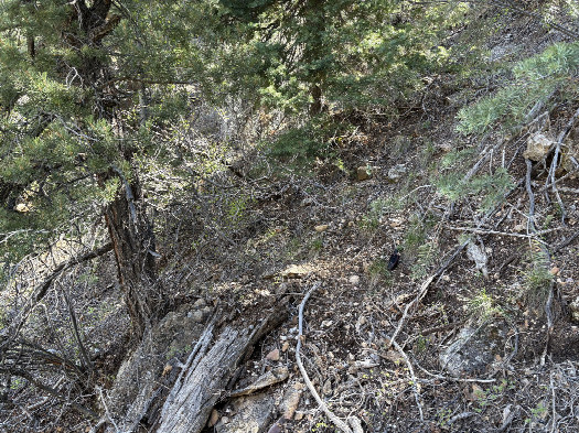 #1: Confluence location