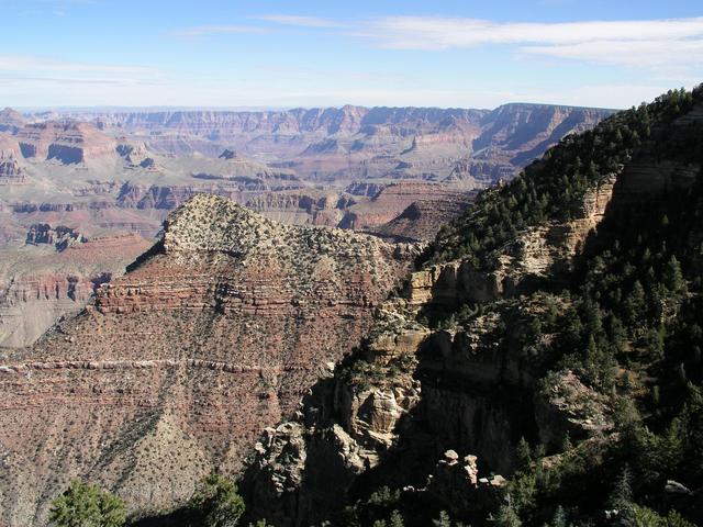 View to the east toward Grandview Point