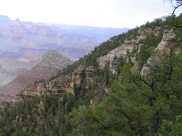Grand Canyon view to the northeast while standing on 112 West, 1200 meters from the confluence.