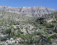 #4: Shows the confluence looking up the wash, towards the southeast and the Grapevine Mesa.