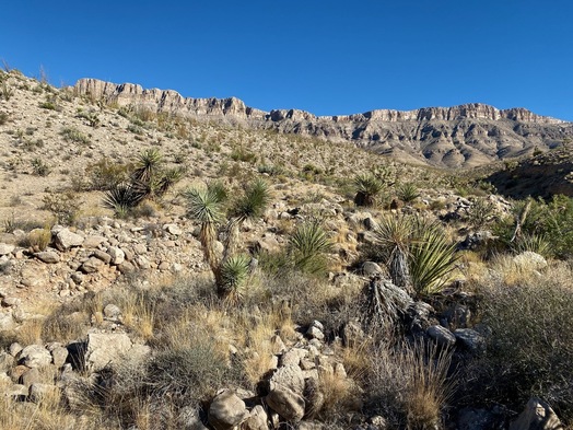 #1: The confluence point lies next to a small drainage.  (This is also a view to the East, towards the Grand Wash Cliffs.)
