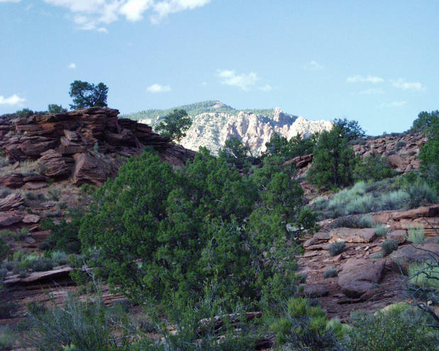 looking east toward the west face of Navajo Mountain