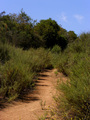 #3: Trail leading to the confluence