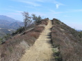#5: Trail along the top of the ridge to the east of the confluence.