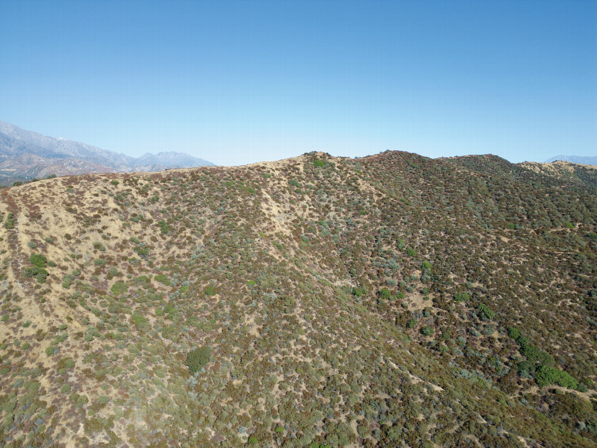 View East, from 120m above the point