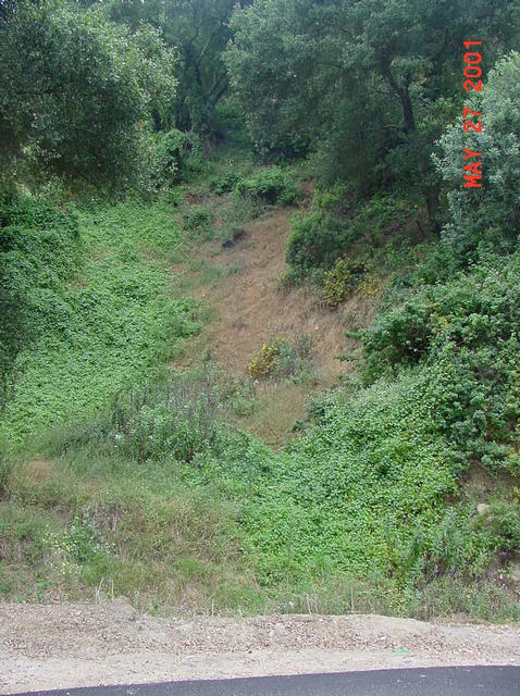 Steep side of canyon, confluence is about 30m up, not visible from street
