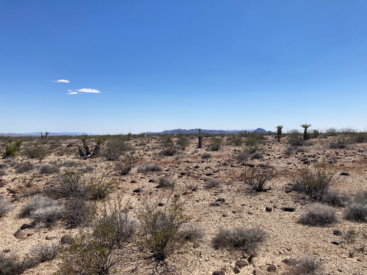 Looking south