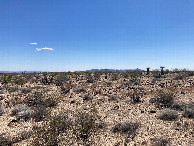 #4: Looking south