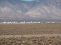 #7: stored aircraft at Mojave airport