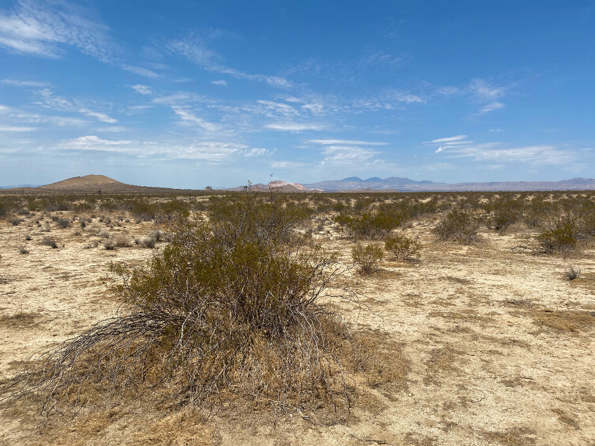 The confluence point lies in the Mojave Desert, south of CA highway 58.  (This is also a view to the West, towards the Tehachapi Range)