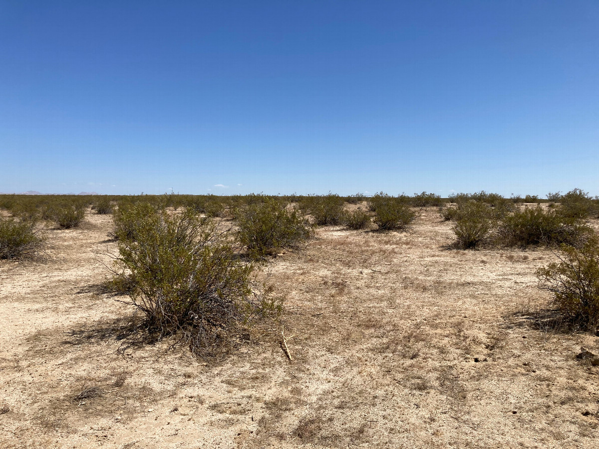 Looking north from the confluence