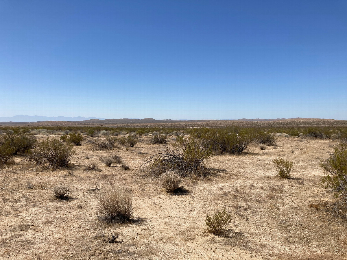 Looking south, at some train tracks