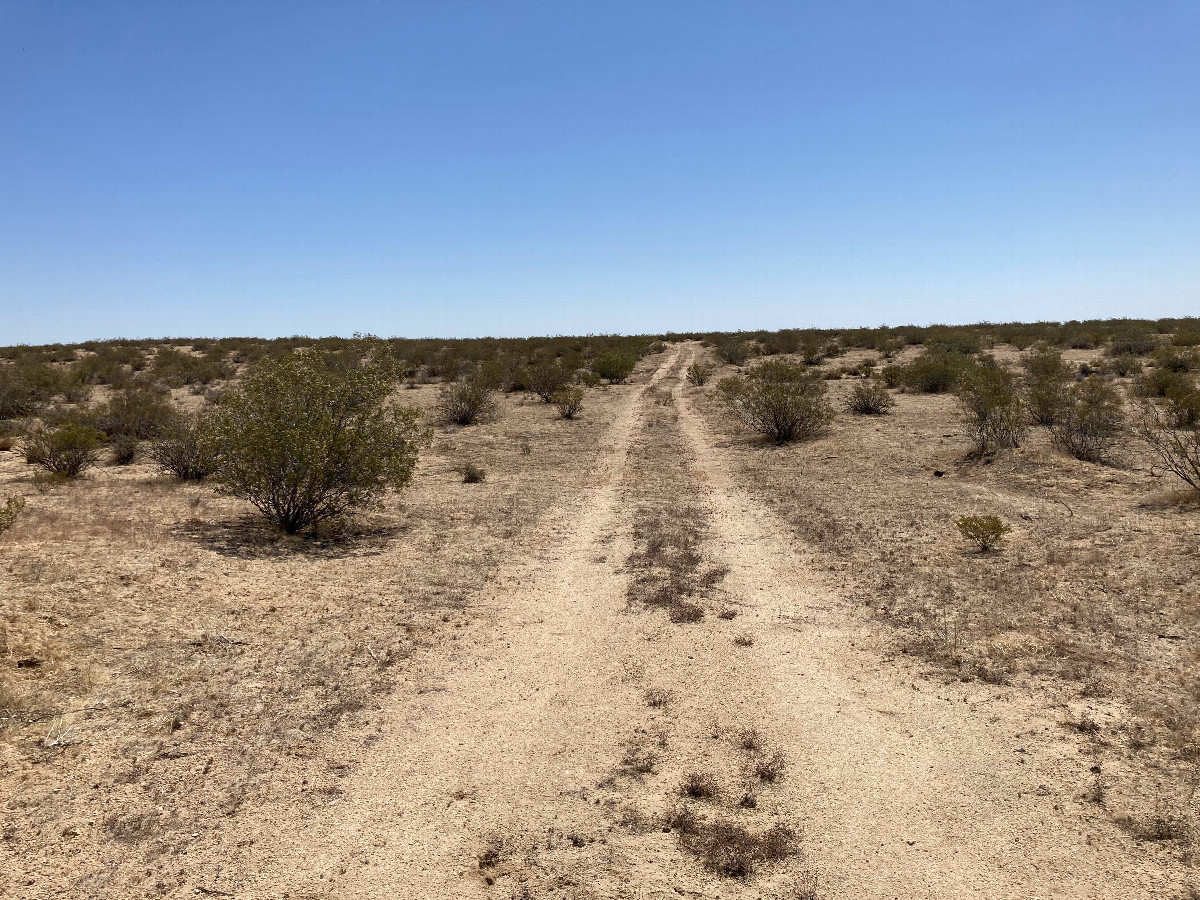 The road along which I parked, looking east