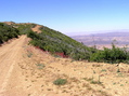 #7: Sierra Madre Road (just west of the confluence point), looking north
